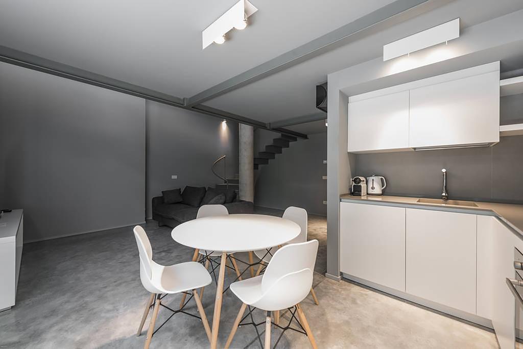 Apartment Grey Loft